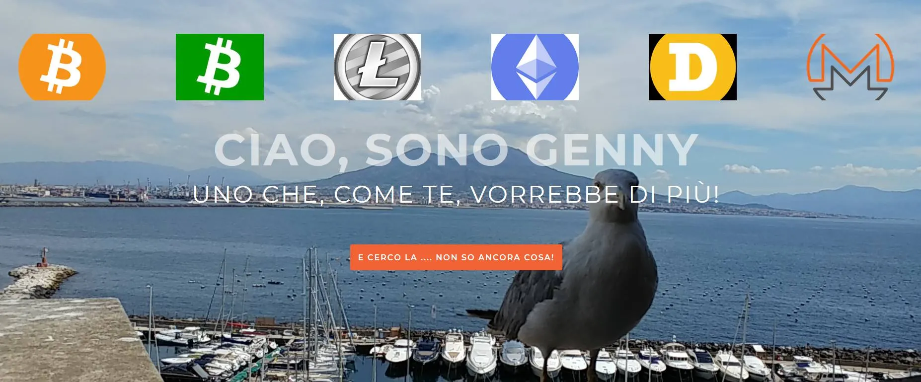 Foto web 1