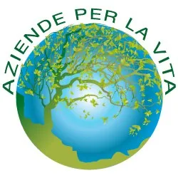 Foto web 2