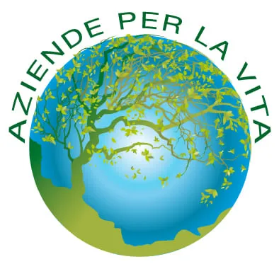 Foto web 6