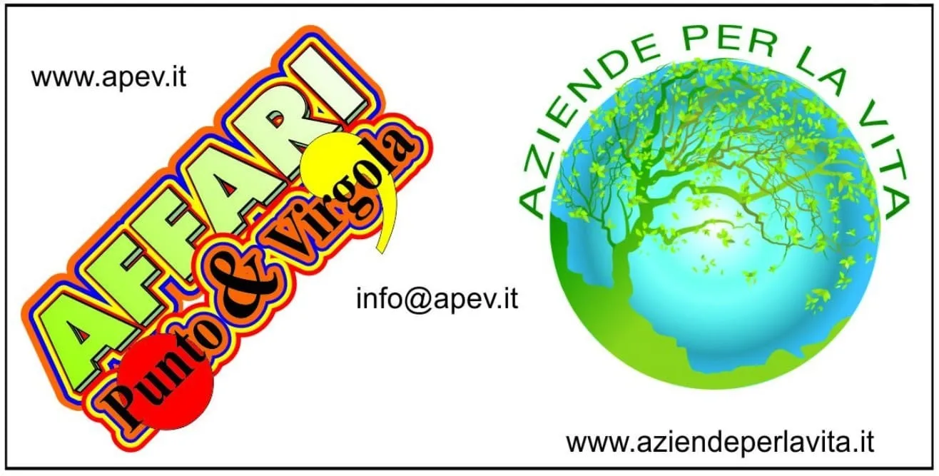Foto web 11